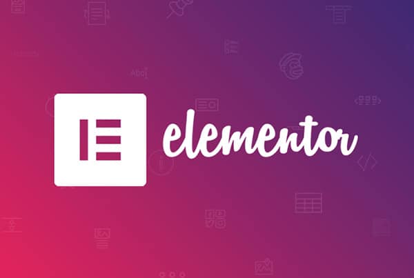 elementor-pro