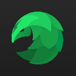 SafeShellVPN logo